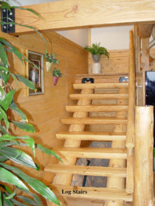 Log Stairs